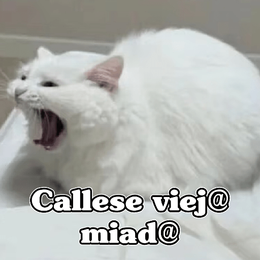 🧿Dilo con Michis6 🐱