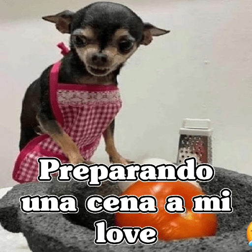 🧿Memes San Valentin♥️😂