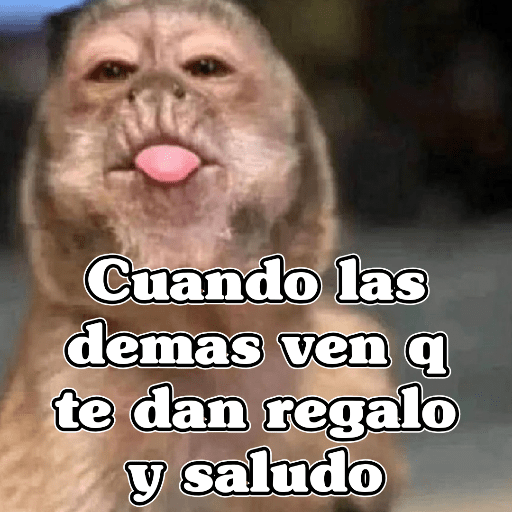 🧿Memes San Valentin♥️😂