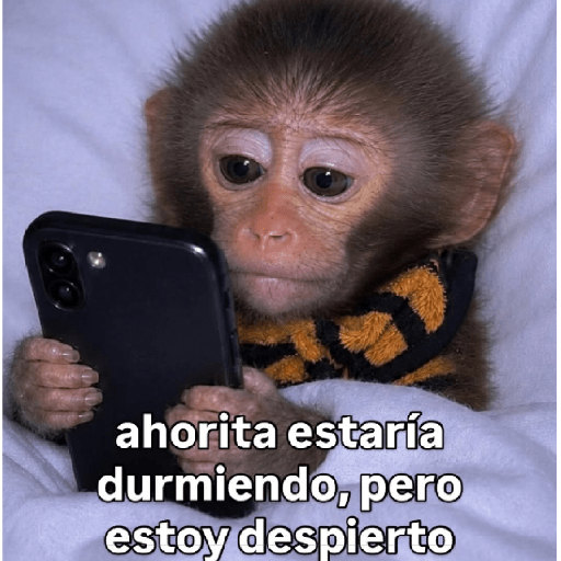 🧿 Monitos 🐒🐵