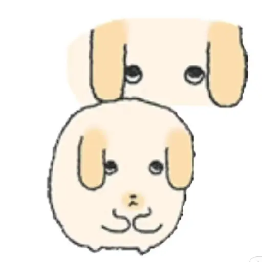🧿 Perrito amarillo/ cafe🐶🦮 18