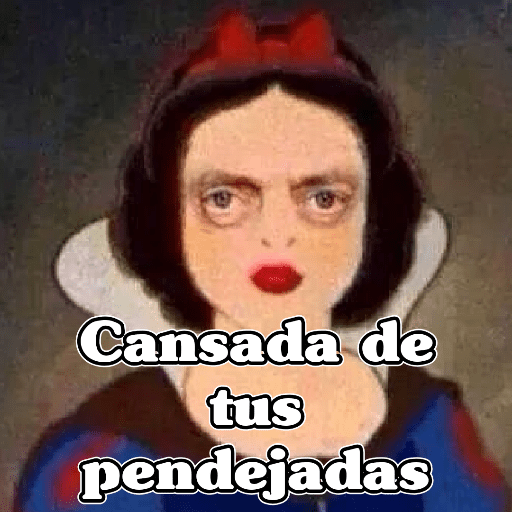 🧿Memes para tu Chat😂😌