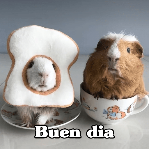 Sticker Image