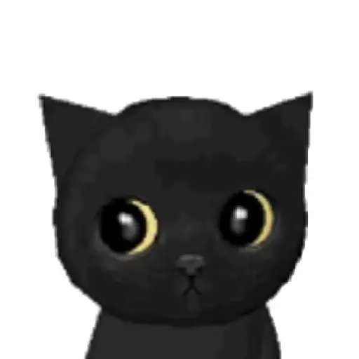🧿 Gatito Negro🐈‍⬛ 5