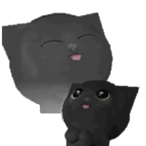 🧿 Gatito Negro🐈‍⬛ 6