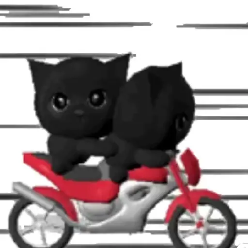 🧿 Gatito Negro🐈‍⬛ 7