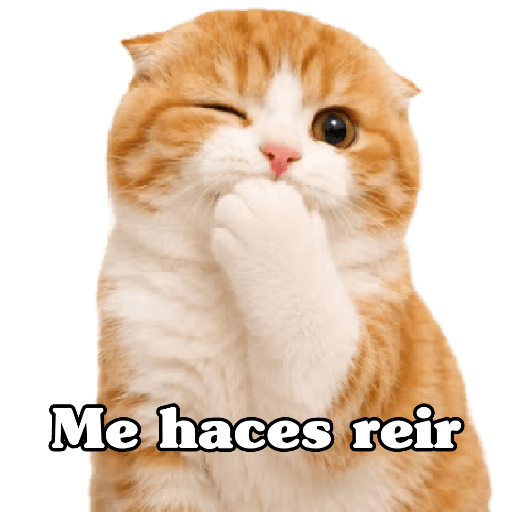 🧿 Para Responder en Chat2 😎 6