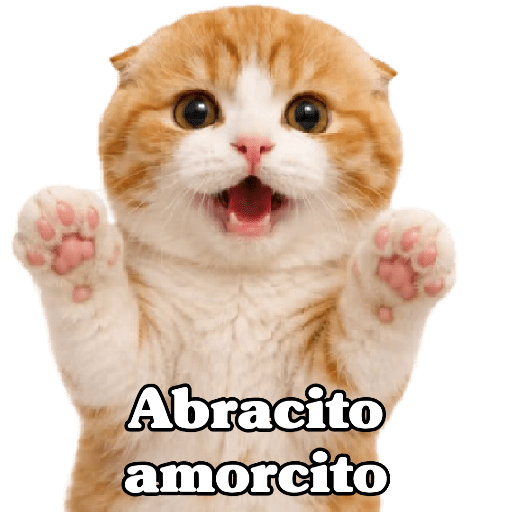 🧿 Para Responder en Chat2 😎 5