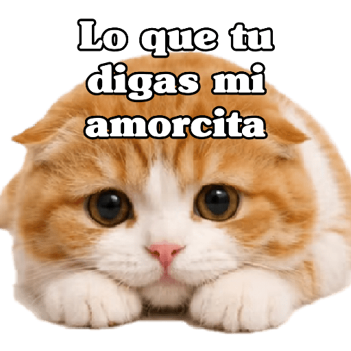 🧿 Para Responder en Chat2 😎 4