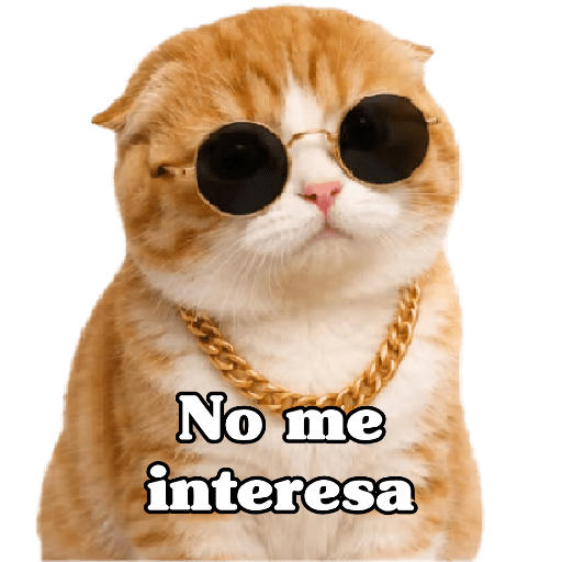 🧿 Para Responder en Chat2 😎 3