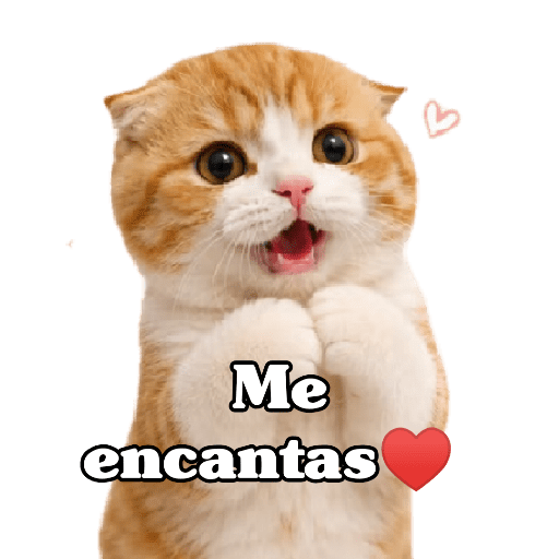 🧿 Para Responder en Chat2 😎 2
