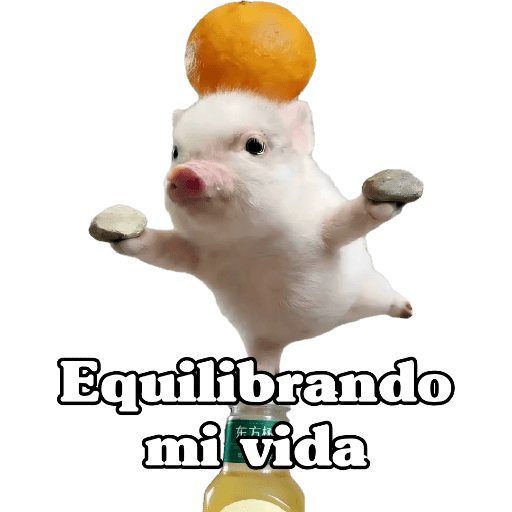 🧿 Para Responder en Chat2 😎 13