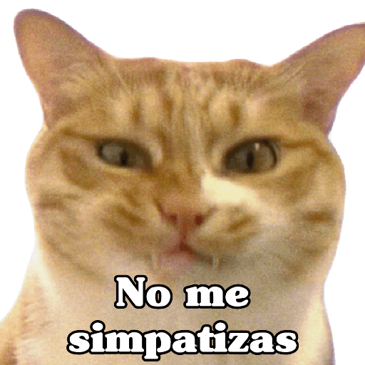 🧿 Para Responder en Chat2 😎 12