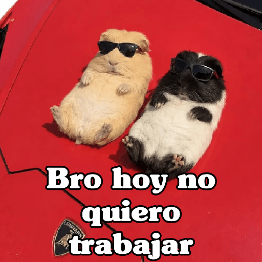 🧿 Para Responder en Chat2 😎 9