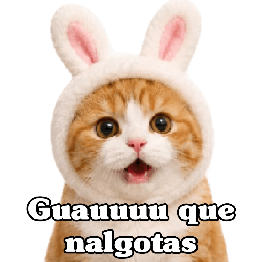 🧿 Para Responder en Chat2 😎 7