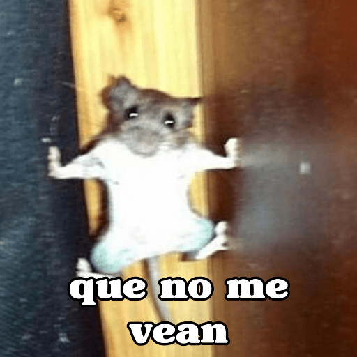 Figurinha 24
