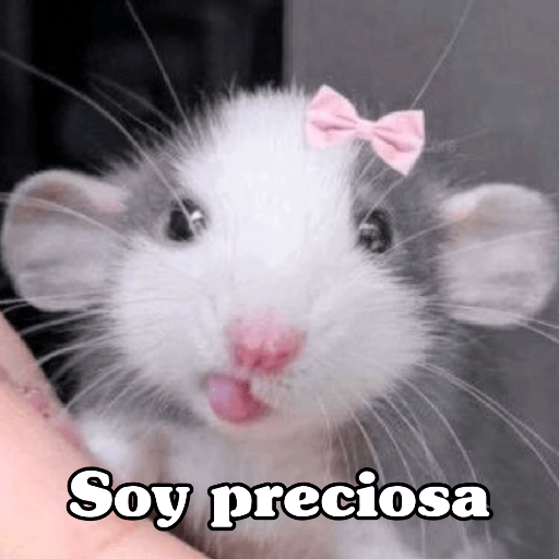 Figurinha 18