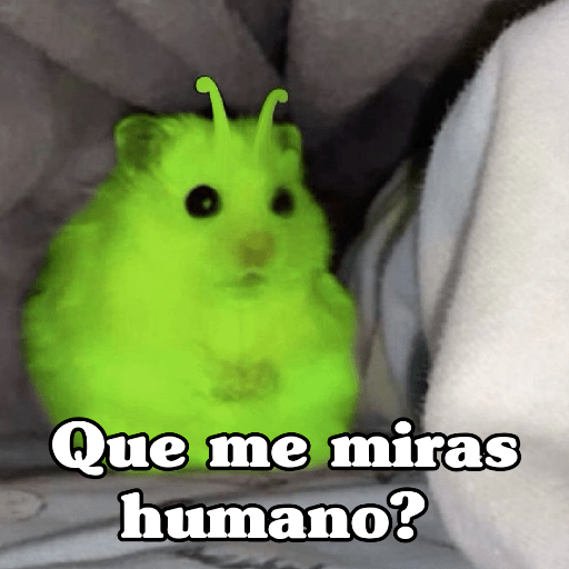 Figurinha 13