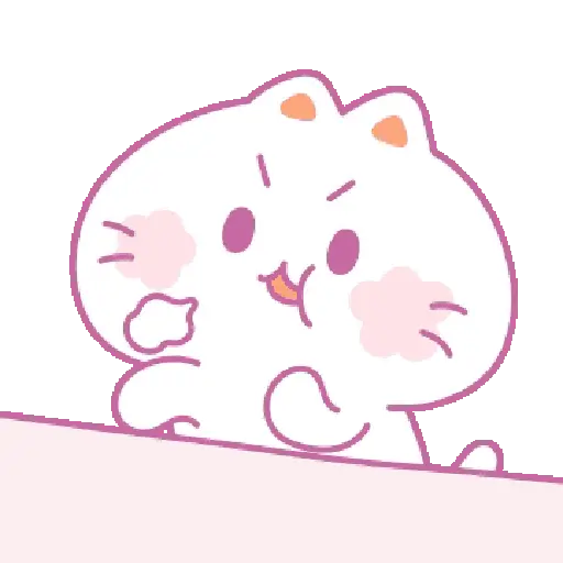 🧿 Gatito Michu🐱🤍 12