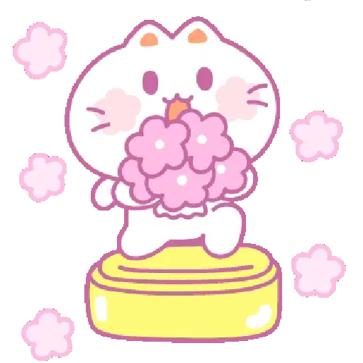 🧿 Gatito Michu🐱🤍 17