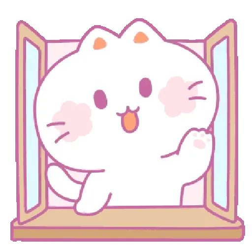 🧿 Gatito Michu🐱🤍 20