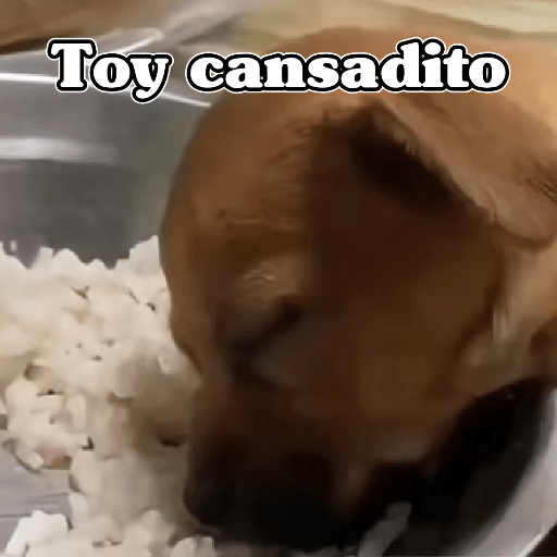 🧿Dilo con Perros🦮🐕🐶