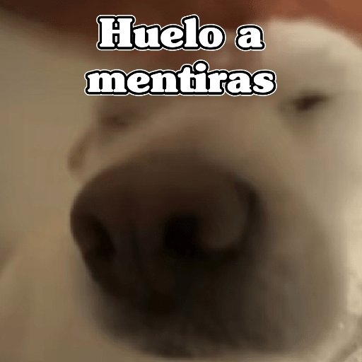🧿Dilo con Perros🦮🐕🐶