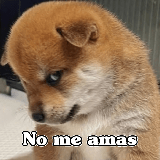🧿Dilo con Perros🦮🐕🐶