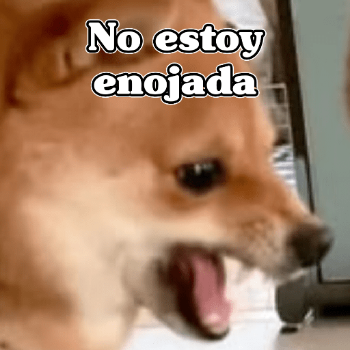 🧿Dilo con Perros🦮🐕🐶