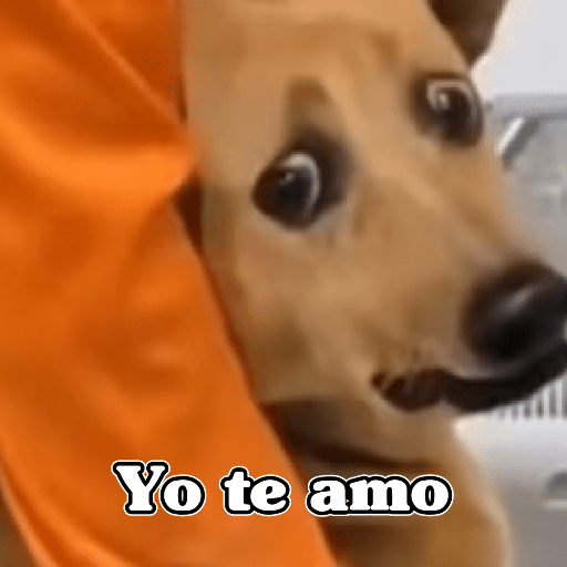 🧿Dilo con Perros🦮🐕🐶