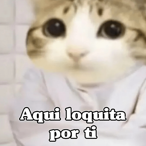 🧿Memes Variados3😂 16