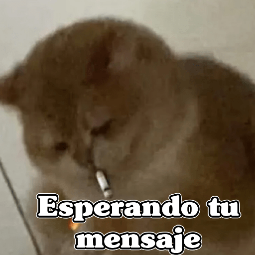 🧿Memes Variados3😂 15