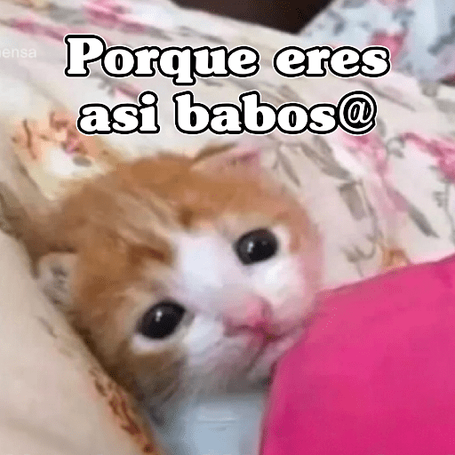 🧿Memes Variados3😂 22