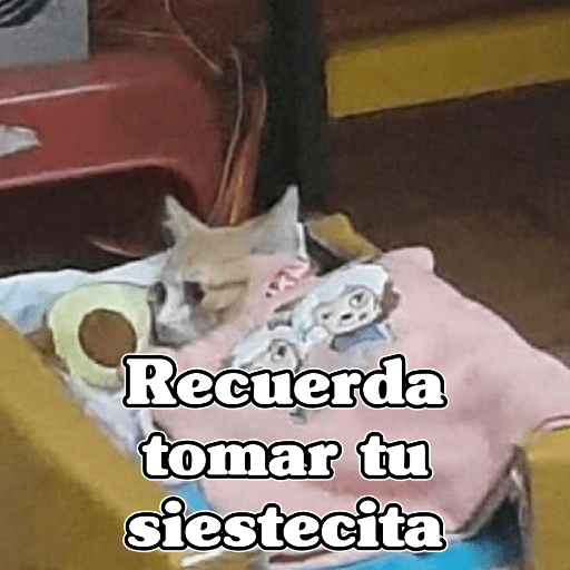 🧿Memes Variados3😂 21