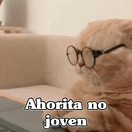 🧿Memes Variados3😂 20
