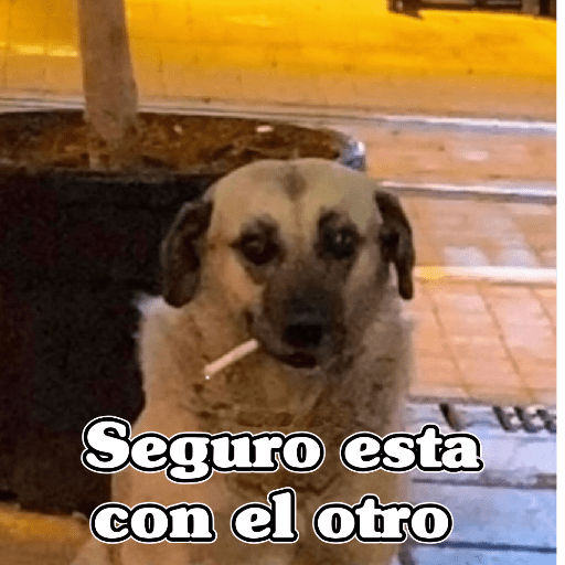 🧿Memes Variados3😂 19