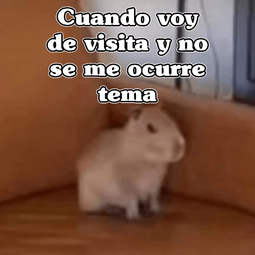 🧿Memes Variados3😂 18