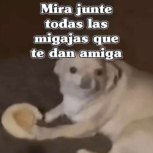 🧿Memes Variados3😂 17