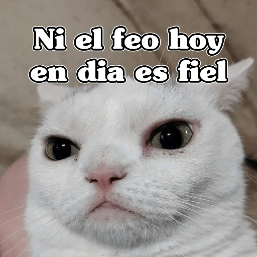 🧿Memes Variados3😂 9