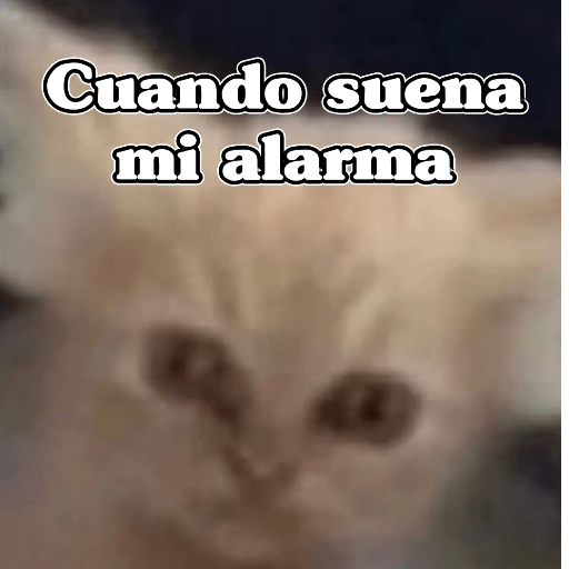 🧿Memes Variados3😂 11
