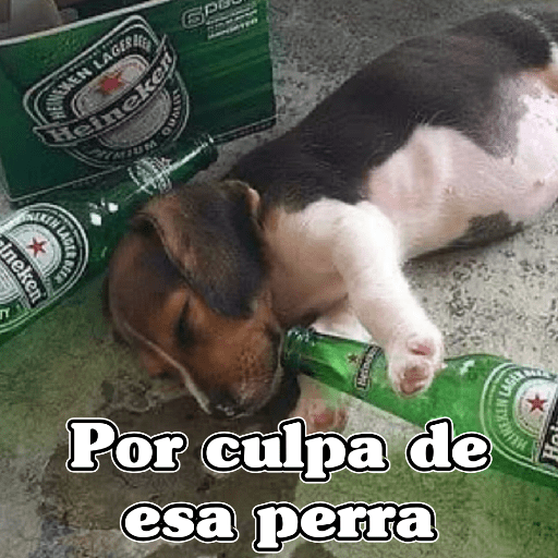 🧿Memes Variados3😂 13