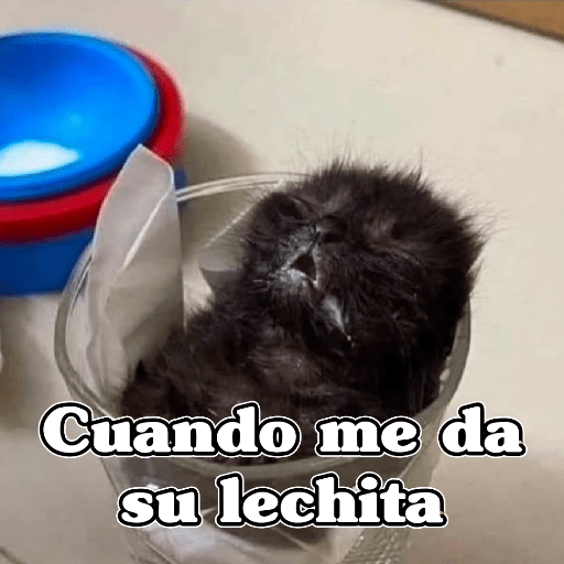🧿Memes Variados3😂 14