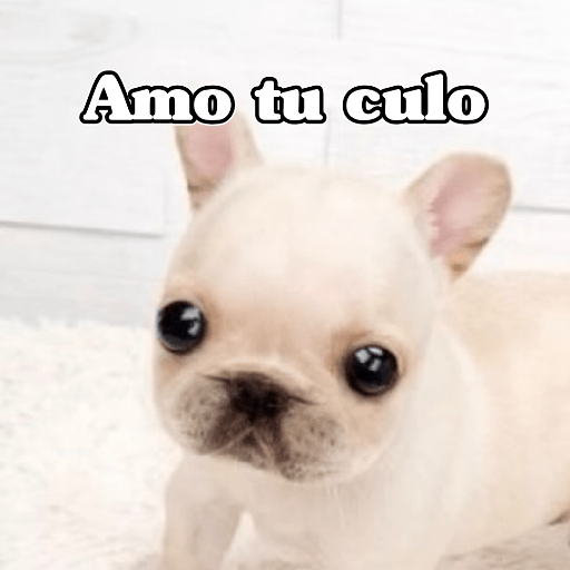 🧿Memes Variados3😂 25