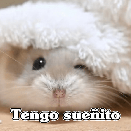 🧿 Ratoncitos para tu chat 🐭🐁 3