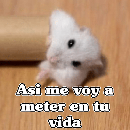 🧿 Ratoncitos para tu chat 🐭🐁 2