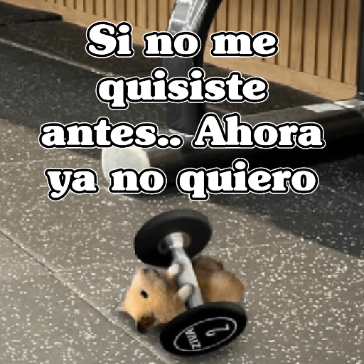 🧿 Ratoncitos para tu chat 🐭🐁 10