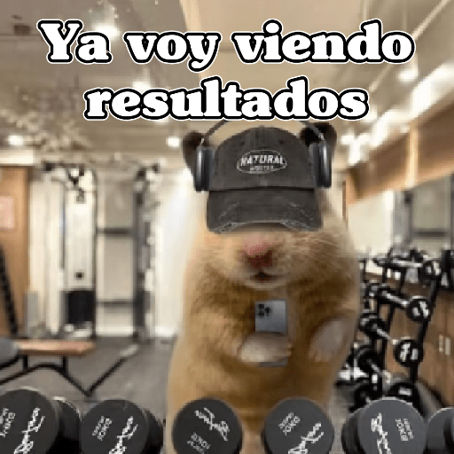 🧿 Ratoncitos para tu chat 🐭🐁 12