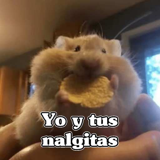 🧿 Ratoncitos para tu chat 🐭🐁 13