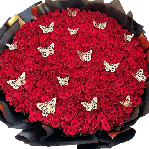 🧿Ramo Buchon💐🪴 14