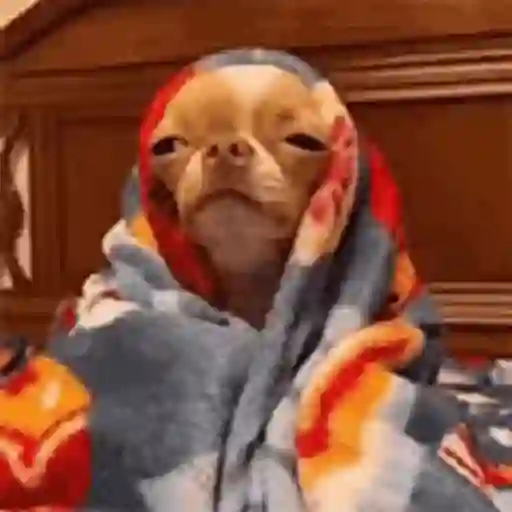 Cobijita ✨😶‍🌫️